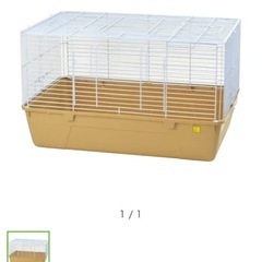 小動物、ハリネズミゲージ　の画像