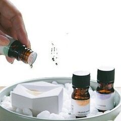 原宿表参道　ハーブ・アロマ接客販売　 生活の木の画像