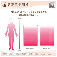大判！電気掛敷毛布の画像