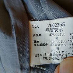 【古着】RAZOSA　厚手のベスト　Ｍのタグが付いているが寸法的にはＬ　薄いグリーン系　中古　送料が高いので取りにこれる方限定の画像