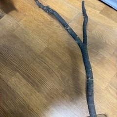 鳥かご　止まり木、水飲み、回し車など付属品の画像