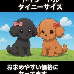 🧡ドッグハウスティラ🧡トイプードル（ブラック、レッド）