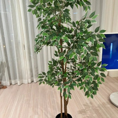 イケア 人工観葉植物 高さ約160cmの画像