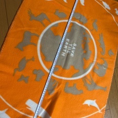 フリース　膝掛け　ミニ毛布　ペット用や車に置いておいても良いかも　美品　の画像