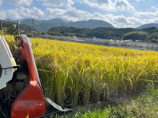 令和7年度 棚田米 八代市東陽町産 ヒノヒカリ 米　30kg