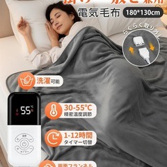 電気毛布⭐️掛け敷き兼用 洗える 180×130cm ダブルサイズ フランネルの画像