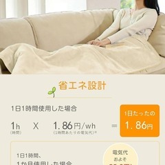 電気毛布⭐️敷き 掛け兼用 省エネ 電気ひざ掛け 速暖 140×80㎝ 丸洗い可の画像