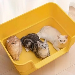 特大サイズの猫トイレ！未使用です！の画像