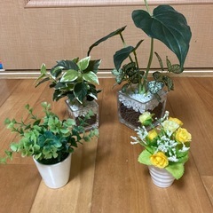 造花の観葉植物4つセットの画像