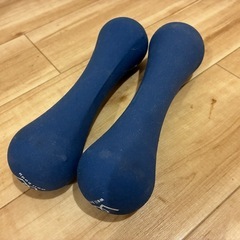 ダンベル 2kg 2個セットの画像