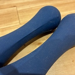 ダンベル 2kg 2個セットの画像