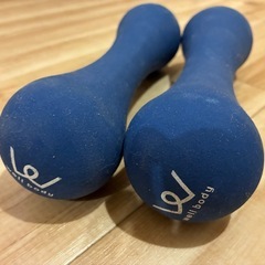 ダンベル 2kg 2個セットの画像