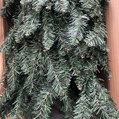 クリスマスツリー　無料でお譲りしますの画像