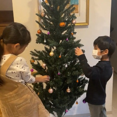 クリスマスツリー　無料でお譲りしますの画像