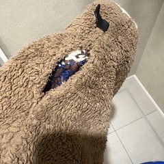 これからの時期に！ネックウォーマーの画像
