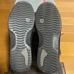 swissies
の画像