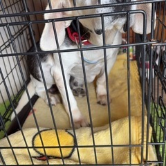 台風で被災しました