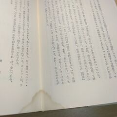 『詩集 夜の慰め』ヘッセ　人文書院の画像
