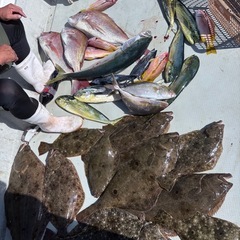鮮魚　ヒラメなどの画像