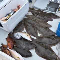 鮮魚　ヒラメなどの画像