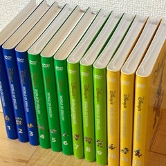 ⭐︎未開封7本⭐︎DWE ストレートプレイ1〜12セットの画像