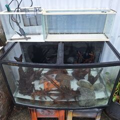 水槽の画像