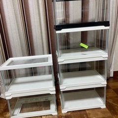 爬虫類等のケージ色々1000円〜5000円の画像