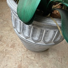 🌸リアル胡蝶蘭 造花 スタンドタイプ（ホワイト＆ピンク）🌸の画像