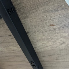円形ダイニングテーブル グレー 90×90の画像