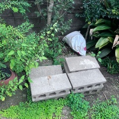 【終了】無料 植木鉢 植物 ブロック等の画像