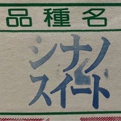 シナノスイートりんご(小)1個の画像