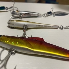 ソルトルアー❗️釣りの画像