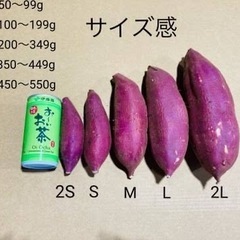 さつまいも シルクスイートの画像