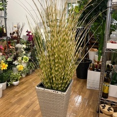 インテリアプランツ人口植物の画像