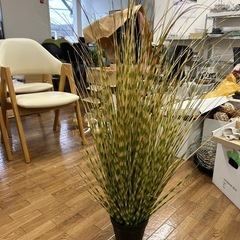インテリアプランツ人口植物の画像