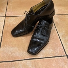 【CARLO BOTRINI】🇮🇹 革靴 ローファー  👞 ビジネスシューズ . ドレスシューズ ✨の画像