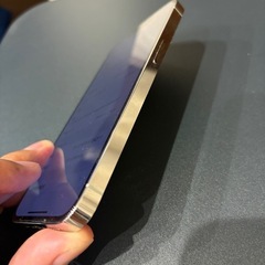 📱iPhone13Pro 512G シルバー　ホワイト　しろ白の画像
