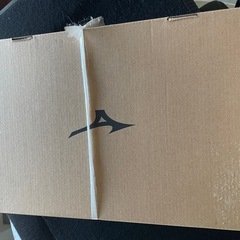 ミズノ　安全靴　新品
の画像
