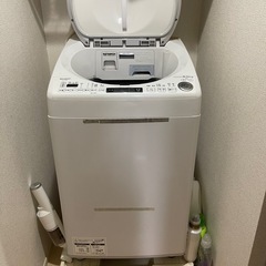 洗濯機 8kgの画像