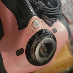 ベッド.布団.クリーナーraycop RT-300JPK+パワフルハンデイスチーマー スの画像