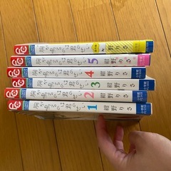 少女漫画29冊まとめて1000円の画像