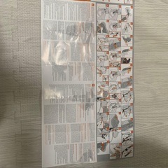 ジュニアシート　TEAMTEX TYPE L6 9-18kgの画像