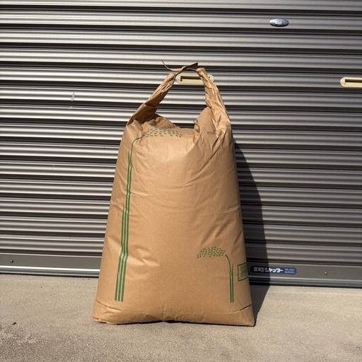 【限定1袋】島根県産きぬむすめ新米30kg