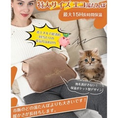 充電式湯たんぽの画像