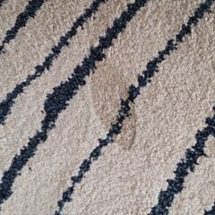 IKEAのラグの画像