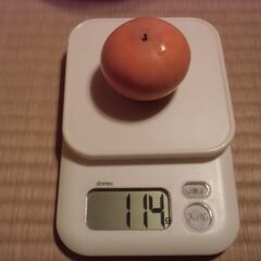 【取引成立】不揃い 小さめ 柿 格安 1個 20円にてお譲りします。◎最大20個までお譲り可能◎即日対応可の画像
