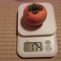【取引成立】不揃い 小さめ 柿 格安 1個 20円にてお譲りします。◎最大20個までお譲り可能◎即日対応可の画像