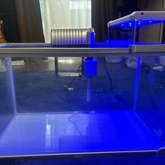 観賞魚飼育セットの画像