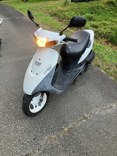 いいねのみなさん残念！こちらも売れました！