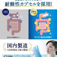 ビフィラル 酪酸菌 サプリ 30日分 乳酸菌 ビフィズス菌 国内製造 菌活 オリゴ糖 イヌリン プロバイオティクスの画像